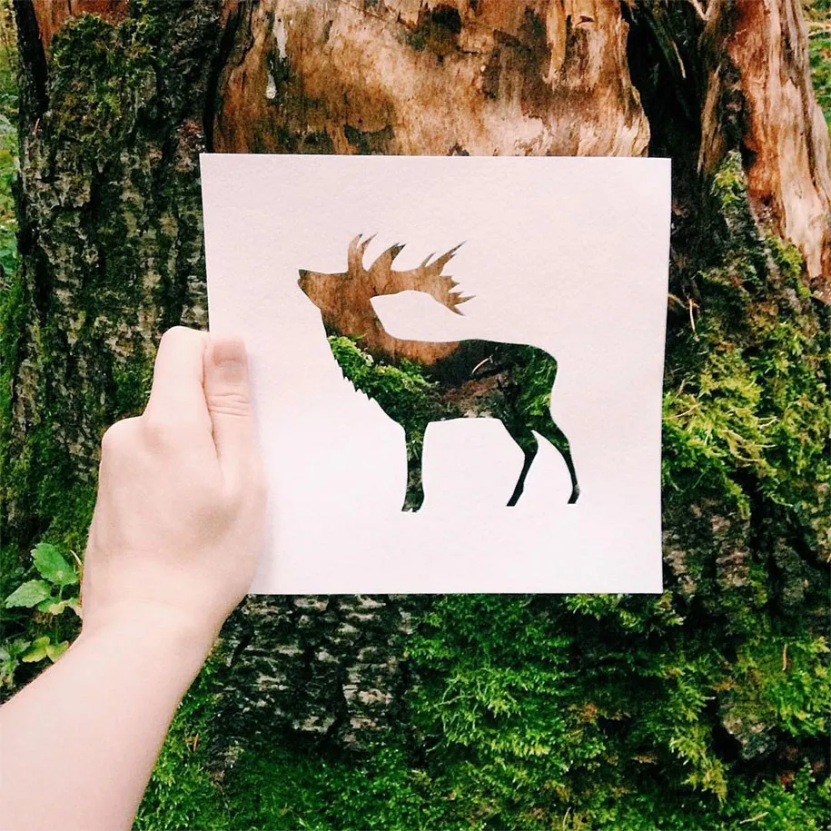 Animal Paper Silhouettes by Nikolai Tolstyh