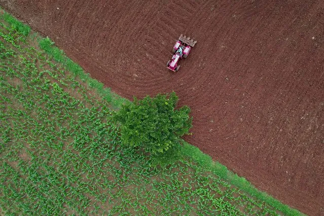 This aerial view shows a farmer ploughing his field with a tractor on the outskirts of Bangalore on August 4, 2021. (Photo by Manjunath Kiran/AFP Photo)