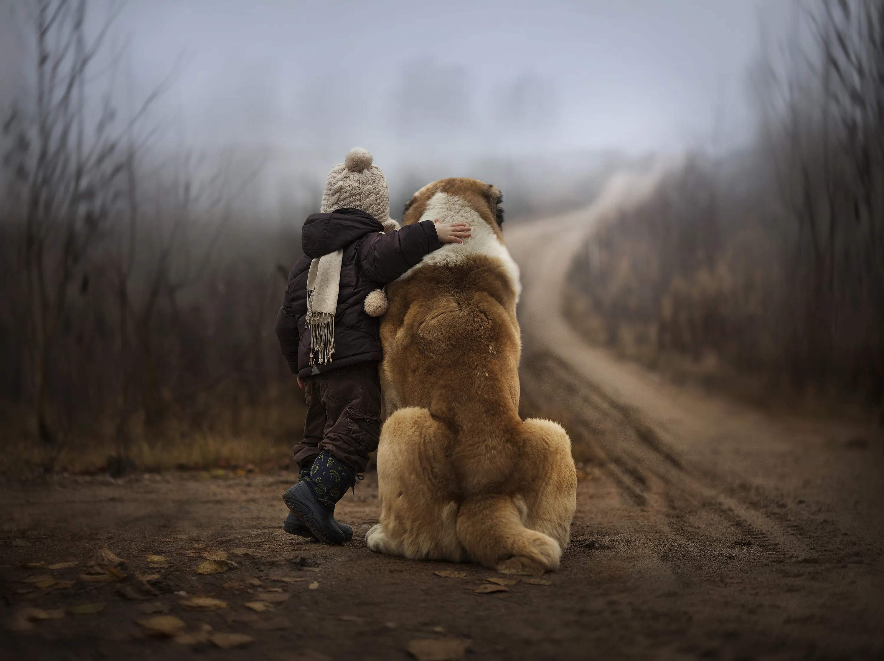 Смысл жизни в дружбе. Собака друг человека. Обнимает собаку.
