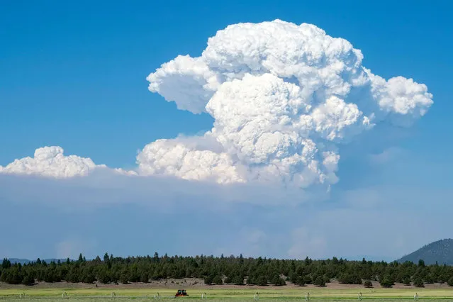 A pyrocumulus cloud from the Bootleg Fire drifts into the air near Bly, Oregon on July 16, 2021. The extreme drought-hit western United States braced for more wildfire destruction July 16, 2021 as efforts to contain a vast blaze scorching southern Oregon failed to progress, and dangerous dry lightning storms were forecast in California. The Bootleg Fire near Oregon's border with California grew overnight to 240,000 acres – larger than New York City, and by far the biggest active blaze in the US – while remaining just seven percent contained. (Photo by Payton Bruni/AFP Photo)