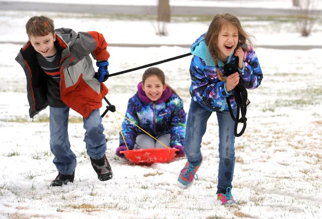 Owen Moore, left, and Haley Maske, right, both 9, use a rope to pull Olivia Maske 10, on a sled in slushy snow in Owensboro, Ky., Monday, February 15, 2016. Area schools were closed Monday due to snow. (Photo by Alan Warren/The Messenger-Inquirer via AP Photo)