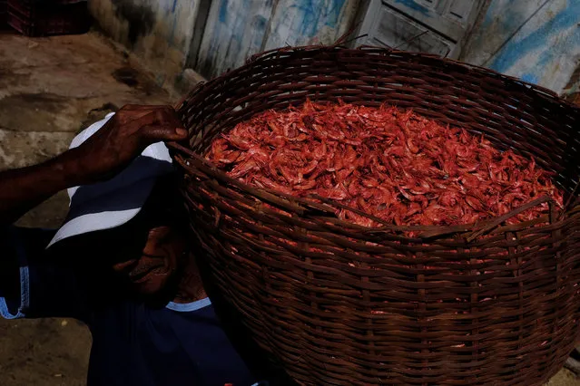 Benedito, 66, carries a basket of prawns after smoking it on a wood-fired oven in Corumbau village on the coast of Bahia state, Brazil, February 19, 2017. (Photo by Nacho Doce/Reuters)