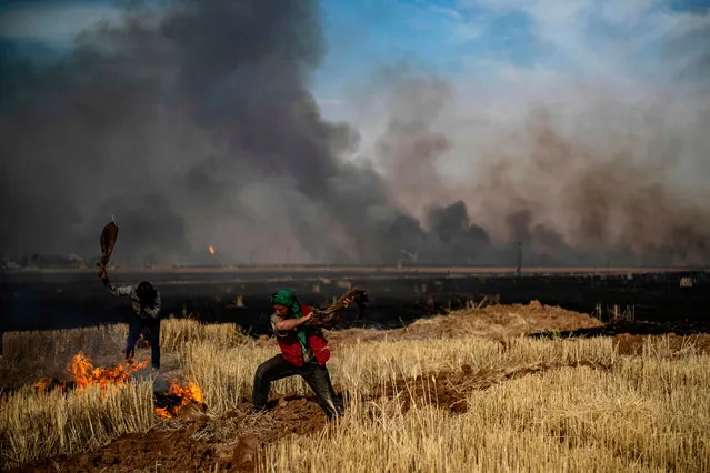 People battle a blaze in an agricultural field in the town of al-Qahtaniyah, in the Hasakeh province near the Syrian-Turkish border on June 10, 2019. Fires have erupted in various parts of Syria in recent weeks, with all sides blaming each other for starting them In the Kurdish-run breadbasket province of Hasakeh, of which Al-Qahtaniya is part, IS has claimed several arson attacks on wheat fields. (Photo by Delil Souleiman/AFP Photo)