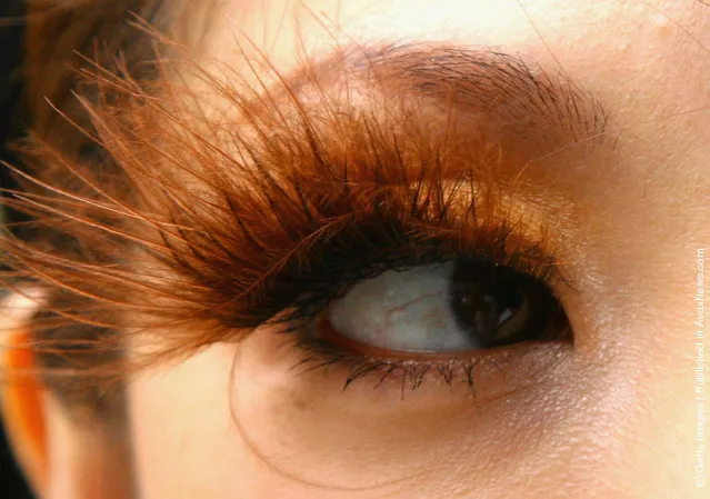 Designer False Eyelashes Remain Popular Japanese Fashion Accessory