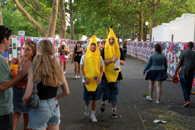 Revelers dressed as bananas walk through the festival grounds at the Governors Ball music festival at Corona Park in the Queens borough of New York City, on June 7, 2024. (Photo by Cheney Orr/Reuters)