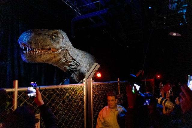 A robot dinosaur is seen at the “Jurassic World: The Exhibition” Press Preview at Odysseum on March 30, 2023 in Cologne, Germany. (Photo by Joshua Sammer/Getty Images)