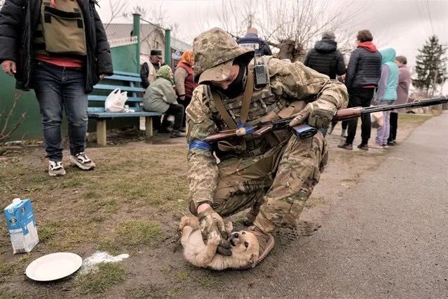 A Ukrainian serviceman tries unsuccessfully to convince a puppy to drink milk as residents wait for distribution of food products in the village of Motyzhyn, Ukraine, which was until recently under the control of the Russian military, Sunday, April 3, 2022. (Photo by Vadim Ghirda/AP Photo)
