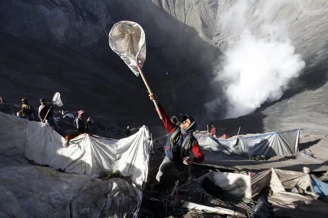 A villager uses a net to catch offerings thrown into the crater of Mount Bromo during Yadnya Kasada festival in Probolinggo, East Java, Indonesia, Saturday, August 1, 2015. (Photo by AP Photo/Trisnadi)