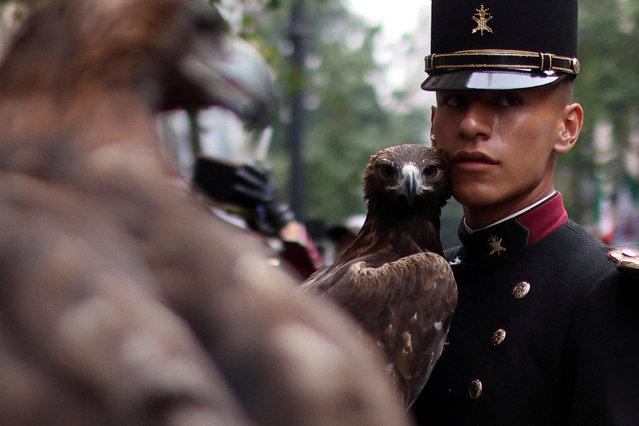 A military cadet holds a bird of prey amid preparations for a military parade celebrating Independence Day hosted by Mexico's President Andres Manuel Lopez Obrador, his last one before he finishes his term on October 1, in Mexico City, Mexico, on September 16, 2024. (Photo by Raquel Cunha/Reuters)