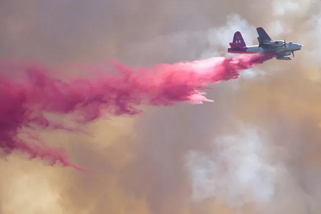A firefighting aircraft drops retardant on the so-called "Cabin Fire" in the Angeles National Forest near Los Angeles, California, August 15, 2015. The brush fire that has scorched 2,500 acres in the Angeles National Forest north of Glendora was still zero percent contained this afternoon, a U.S. Forest Service spokesman said today. (Photo by Jonathan Alcorn/Reuters)