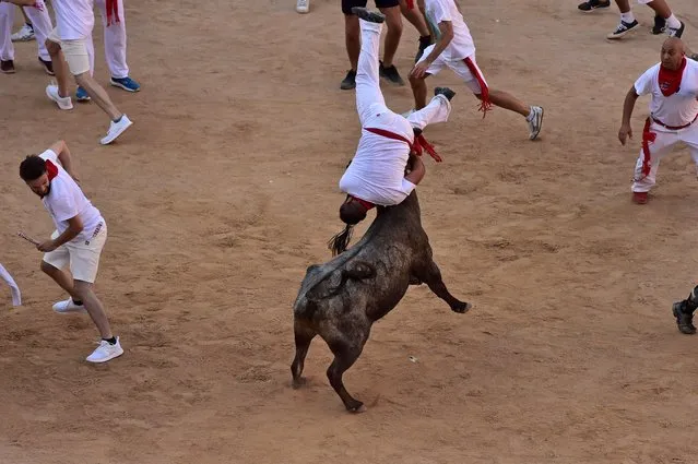 A man is tossed by a calf in the bullring after the running of the bulls at the San Fermin Festival in Pamplona, northern Spain, Wednesday, July 13, 2022. Revellers from around the world flock to Pamplona every year for nine days of uninterrupted partying in Pamplona's famed running of the bulls festival which was suspended for the past two years because of the coronavirus pandemic. (Photo by Alvaro Barrientos/AP Photo)