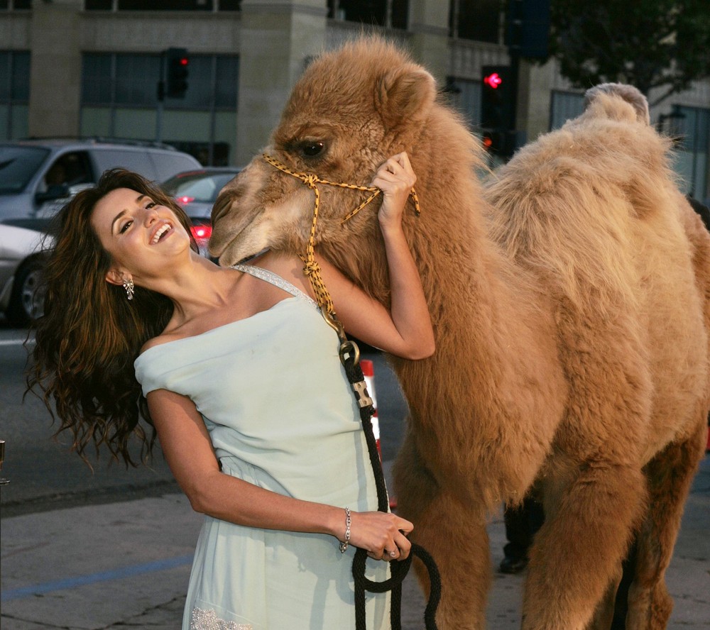 Some Photos: Celebrities