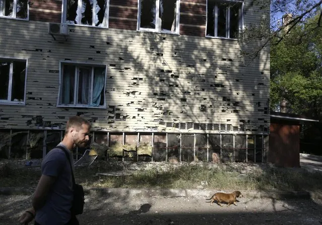 A local citizen walks with his dog near a regional hospital after shelling in Donetsk, eastern Ukraine, Sunday, August 24, 2014. Ukraine has retaken control of much of its eastern territory bordering Russia in the last few weeks, but fierce fighting for the rebel-held cities of Donetsk and Luhansk persists. (Photo by Sergei Grits/AP Photo)