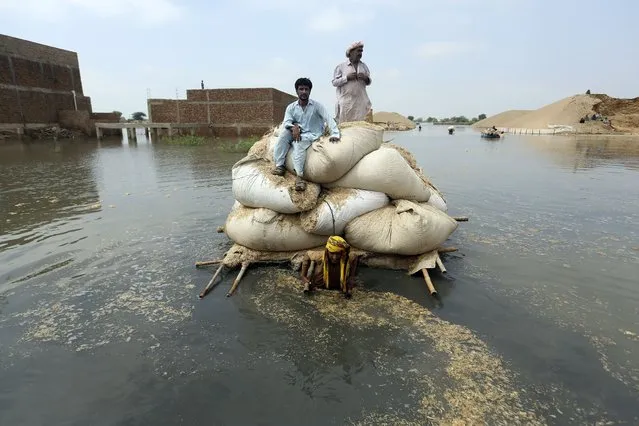 Victims of the unprecedented flooding from monsoon rains use makeshift barge to carry hay for cattle, in Jaffarabad, a district of Pakistan's southwestern Baluchistan province, Monday, September 5, 2022. The U.N. refugee agency rushed in more desperately needed aid Monday to flood-stricken Pakistan as the nation's prime minister traveled to the south where rising waters of Lake Manchar pose a new threat. (Photo by Fareed Khan/AP Photo)