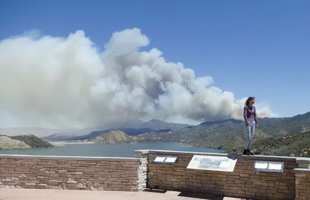 A wildfire burns in the background behind a sightseer as smoke billows over Silverwood Lake on Sunday afternoon, August 7, 2016, in Crestline, Calif. A rapidly growing forest fire in Southern California is burning about 55 miles east of Los Angeles in a remote area near Silverwood Lake, a state recreation area, near the small mountain community of Crestline. A massive plume of smoke could be seen blowing north toward the Mojave Desert. (Photo by James Quigg/The Daily Press via AP Photo)