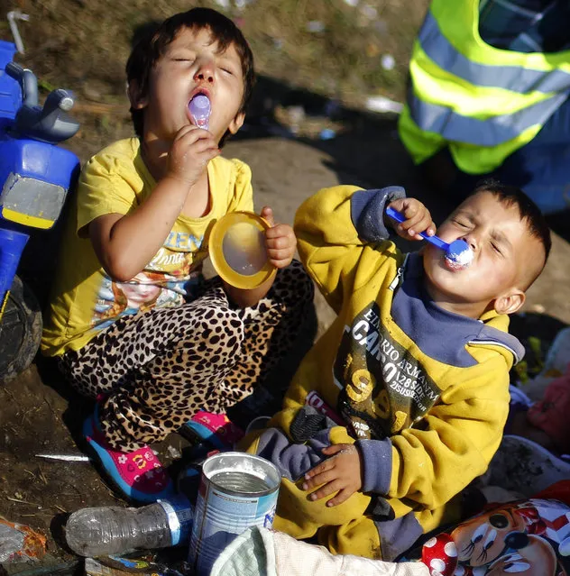 Young children eat milk powder as they wait for a bus in a temporary holding center for migrants near the border between Serbia and Hungary in Roszke, southern Hungary, Sunday, September 13, 2015. At least four countries Friday firmly rejected a European Union plan to impose refugee quotas to ease a worsening migrant crisis that Germany's foreign minister said was “probably the biggest challenge” in the history of the 28-nation bloc. (Photo by Matthias Schrader/AP Photo)