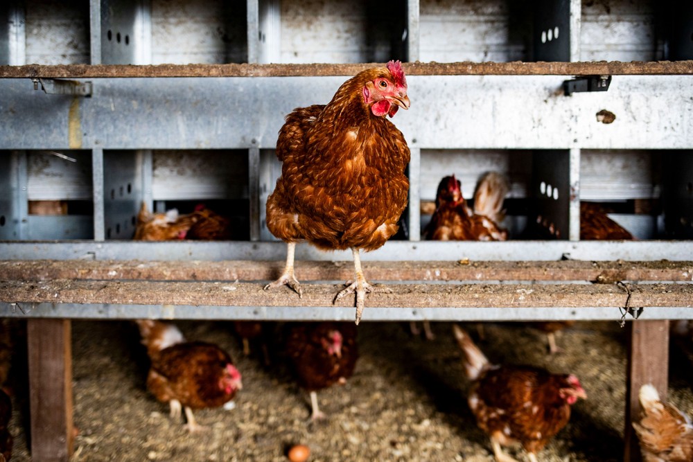 USA last Week, Part 4/4