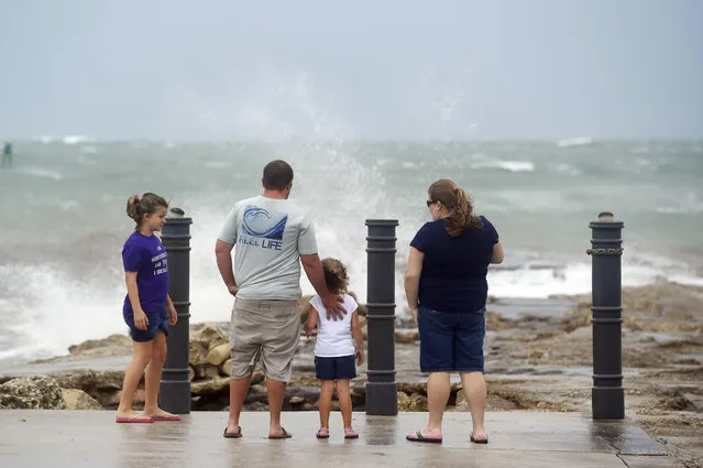 Elizabeth Whittemore (from left), along with her father James, sister Jordan and mother Susan, stand at the end of the South Jetty in Fort Pierce on Sunday, August 2, 2020, watch the waves crash over the rocks brought by the high winds of Tropical Storm Isaias churning off the coast. (Photo by Patrick Dove/TCPalm.com via AP Photo)