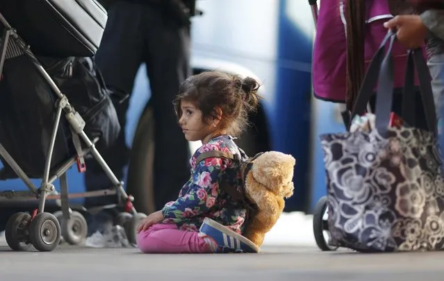 A migrant's girl waits to board a bus after arriving by train at Schoenefeld railway station, south of Berlin, Germany, September 13, 2015. (Photo by Hannibal Hanschke/Reuters)