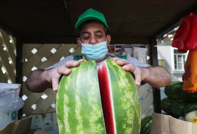 A seller cuts a watermelon in half in Moscow, Russia on August 3, 2020. On 3 August, 240 outdoor stalls selling watermelons and melons have opened in Moscow. (Photo by Mikhail Tereshchenko/TASS)