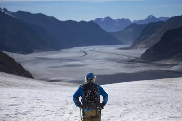 Mountain guide Christian Pletscher looks towards the Aletsch Glacier from the Jungfraufirn Glacier, Switzerland, August 28, 2015. (Photo by Denis Balibouse/Reuters)