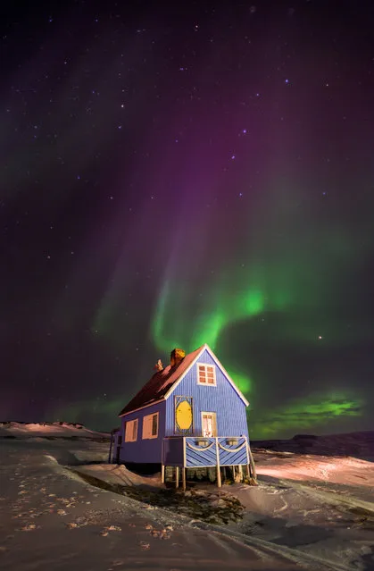 “On our second night in the Inuit village of Oqaatsut (formerly Rodebay), West Greenland, we were treated to a display of the dancing green lights of an aurora illuminating this pretty blue house. An unforgettable experience”. (Photo by Richard Burdon/The Guardian)