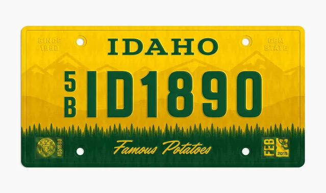 State Plates Project By Jonathan Lawrence