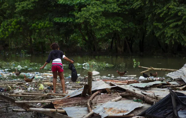 Picture taken in the flooded neighbourhood of La Puya, in Santo Domingo on October 4, 2016 after the passage of Hurricane Matthew through Hispaniola – the island that the Dominican Republic shares with Haiti. Matthew, a Category Four hurricane, slammed into the Dominican Republic and Haiti Tuesday, triggering major floods and forcing thousands to flee the path of the storm that has claimed at least three lives in each country. (Photo by Erika Santelices/AFP Photo)