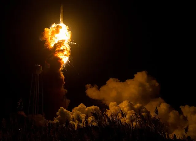 The Orbital ATK Antares rocket, with the Cygnus spacecraft onboard suffers a catastrophic anomaly moments after launch from the Mid-Atlantic Regional Spaceport Pad 0A  in Virginia in this October 28, 2014 handout photo obtained by Reuters November 4, 2015.  The Cygnus spacecraft was filled with supplies slated for the International Space Station, including science experiments, experiment hardware, spare parts, and crew provisions. (Photo by Joel Kowsky/Reuters/NASA)
