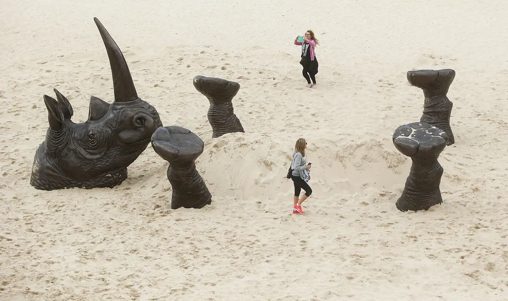Sculpture by the Sea 2016