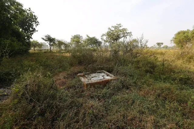 An open toilet is seen in a field in Gorba in the eastern Indian state of Chhattisgarh, India, November 16, 2015. (Photo by Adnan Abidi/Reuters)