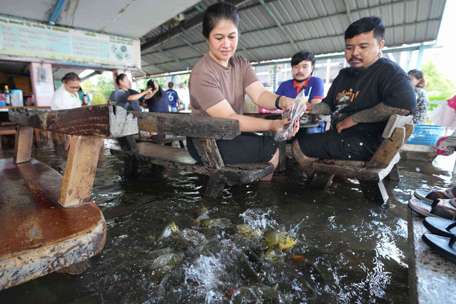 Diners at the Pa Jit restaurant take vdo fish in the aisles that come from floods from the Tha Chin River in Thailand's Nakhon Pathom province, west of Bangkok, Thailand, Friday, November 14, 2025. (Photo by Sakchai Lalit/AP Photo)