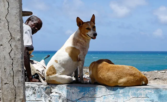 A Somali man and his dogs sit at the Hamarweyne beach along the Indian Ocean in Hamarweyne district of Mogadishu, Somalia on May 11, 2023. (Photo by Feisal Omar/Reuters)