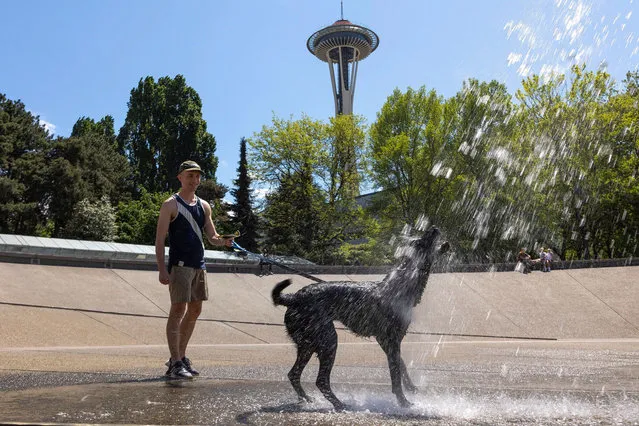 Phillip Gilbert of Seattle stands with his dog Ollie at the International Fountain within the Seattle Center campus in Seattle, Washington, U.S., May 15, 2023. (Photo by Matt Mills McKnight/Reuters)
