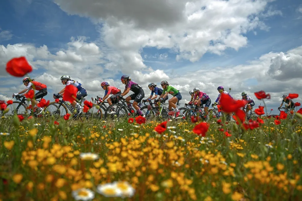 Sport last Week, Part 2/2