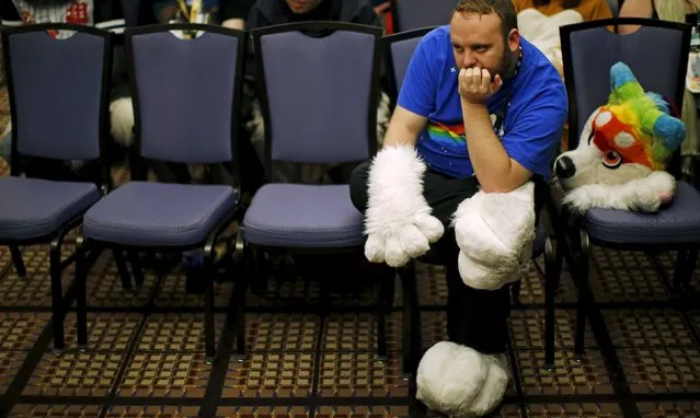 An attendee listens during a workshop at the Midwest FurFest in the Chicago suburb of Rosemont, Illinois, United States, December 4, 2015. (Photo by Jim Young/Reuters)