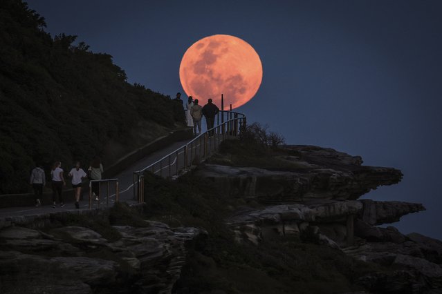 A super moon rises behind people standing on a headland near Sydney's Bondi Beach on October 17, 2024. (Photo by David Gray/AFP Photo)