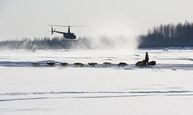 Matt Hall drives his dog team on the Susitna River during the Iditarod Trail Sled Dog Race drastically altered by the coronavirus pandemic at Deshka Landing in Willow, Alaska, March 7, 2021. (Photo by Bill Roth/ADN/Pool via Reuters)