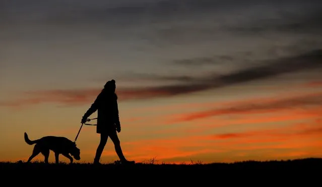 A woman walking her dog is silhouetted against the sky at sunset in Pflaumdorf westward of Fuerstenfeldbruck, Germany, December 5, 2015. (Photo by Michaela Rehle/Reuters)