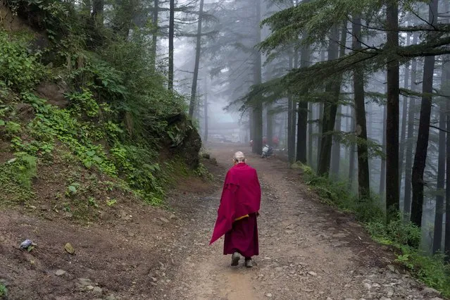 An exile Tibetan Buddhist monk walks on a mountain path in Dharamshala, India, Wednesday, August 9, 2023. (Photo by Ashwini Bhatia/AP Photo)