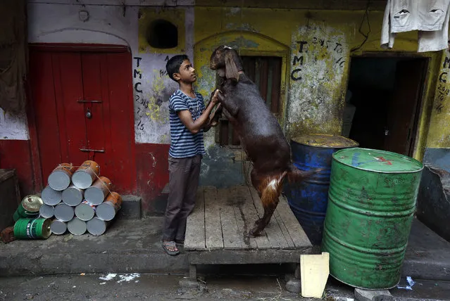 A boy plays with a goat at a roadside market in Kolkata,  March 2, 2016. (Photo by Rupak De Chowdhuri/Reuters)