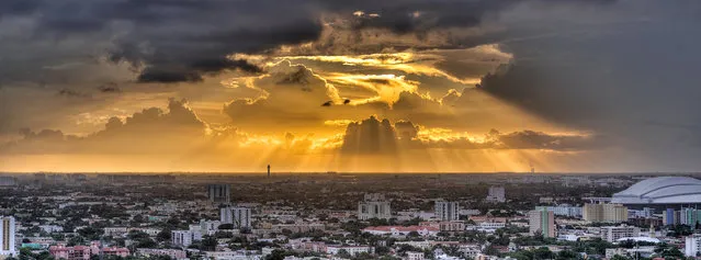 “Golden Hour Rays”. Miami, 2013. (Photo by lostINmia)