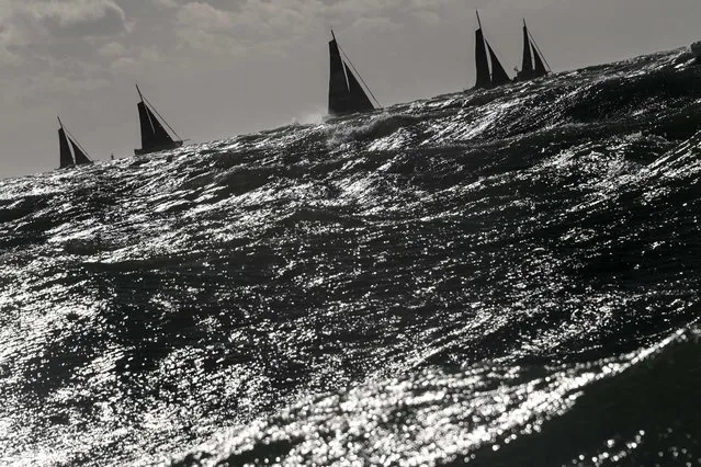 Class 40 monohulls sail at the start of the Jacques Vabre pair sailing race, from Le Havre to the French overseas island of La Martinique, in Le Havre on October 29, 2023. The start of the Imoca 40 ships in the Transat Jacques-Vabre was delayed due to heavy weather, but the departure of the 55 boats of other classes Ultim, Ocean Fifty and Class40 has been maintained. (Photo by Sebastien Salom-Gomis/AFP Photo)