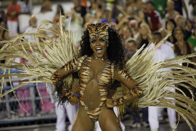 Mangueira samba school's Drum Queen Evelin performs during the carnival parade at the Sambadrome in Rio de Janeiro, February 9, 2016. (Photo by Claudia Daut/Reuters)