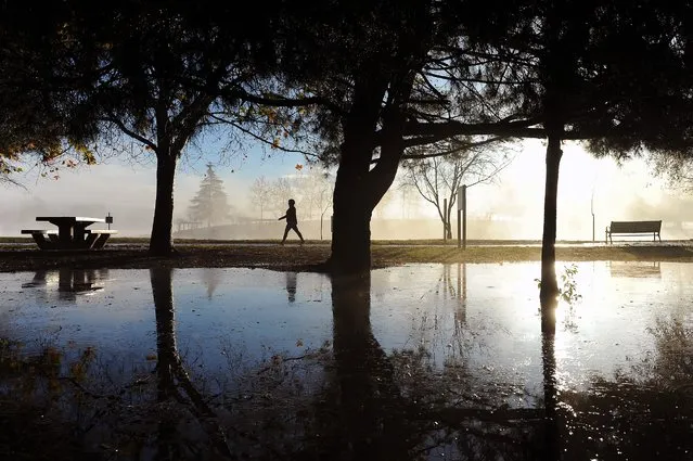 A walker takes advantage of the clearing skies to stroll past rain puddles at Lake Balboa Park in Lake Balboa, Calif., Thursday, January 7, 2016. (Photo by Michael Owen Baker/AP Photo)