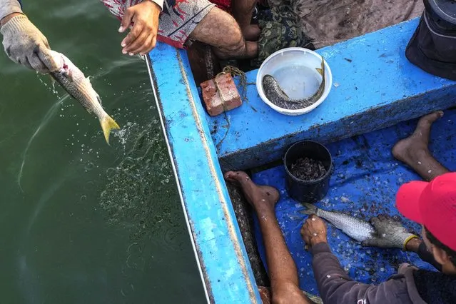 Fishermen rinse and clean their catch on Lake Maracaibo, near La Salina crude oil shipping terminal in Cabimas, Venezuela, December 28, 2023. (Photo by Matias Delacroix/AP Photo)