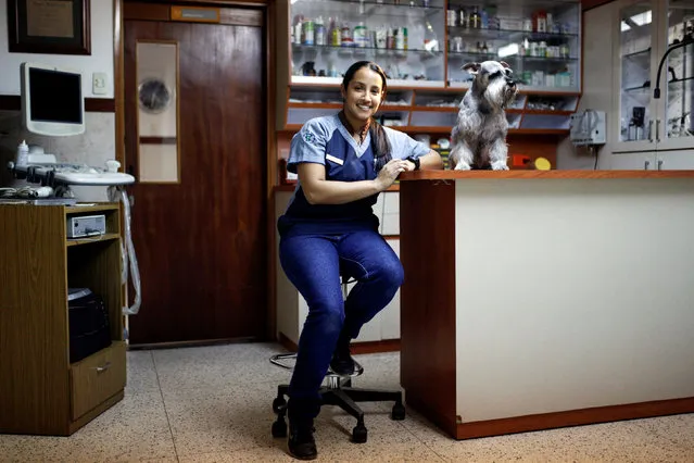 Luisana Quero Duran, 32, a veterinarian, poses for a photograph with Nacho, a Schnauzer, at a clinic in Caracas, Venezuela, February 24, 2017. “The gender inequality that I'm aware of seems to me to be more on the part of the clients. To a certain extent, I am fortunate, having a university degree favours me a lot”, Duran said. (Photo by Marco Bello/Reuters)