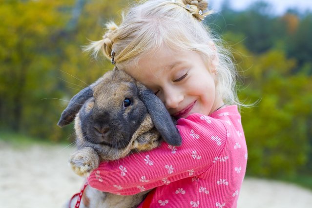 Five-year-old beautiful girl embraces the favourite rabbit. (Photo by Serafima/Getty Images)
