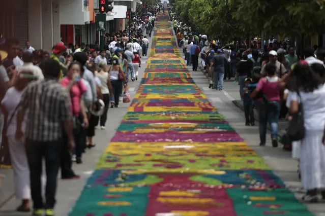 People walk next to a traditional Guatemalan traditional sawdust carpet during Holy Week celebrations, in downtown Guatemala City April 17, 2014. According to local media, the carpet was recognized as the Guinness world record for the longest sawdust carpet at 2,012 meters. The carpet is made of colored sawdust and has sacred symbols. (Photo by Jorge Dan Lopez/Reuters)