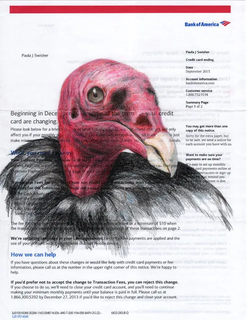 But now Paula has made the transition from books to bills – which she admits, make a playful commentary on the predatory banking businesses. A vulture seems fitting on a bill. (Photo by Paula Swisher/Caters News)